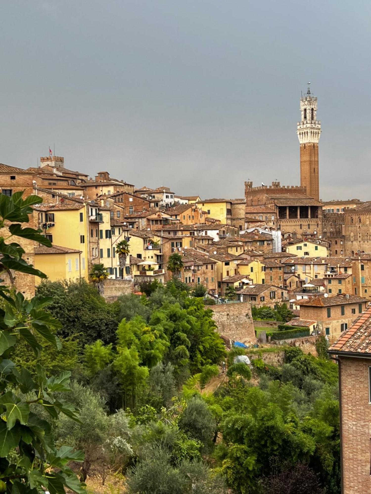 Podere La Casa Villa d'Arceno Dış mekan fotoğraf